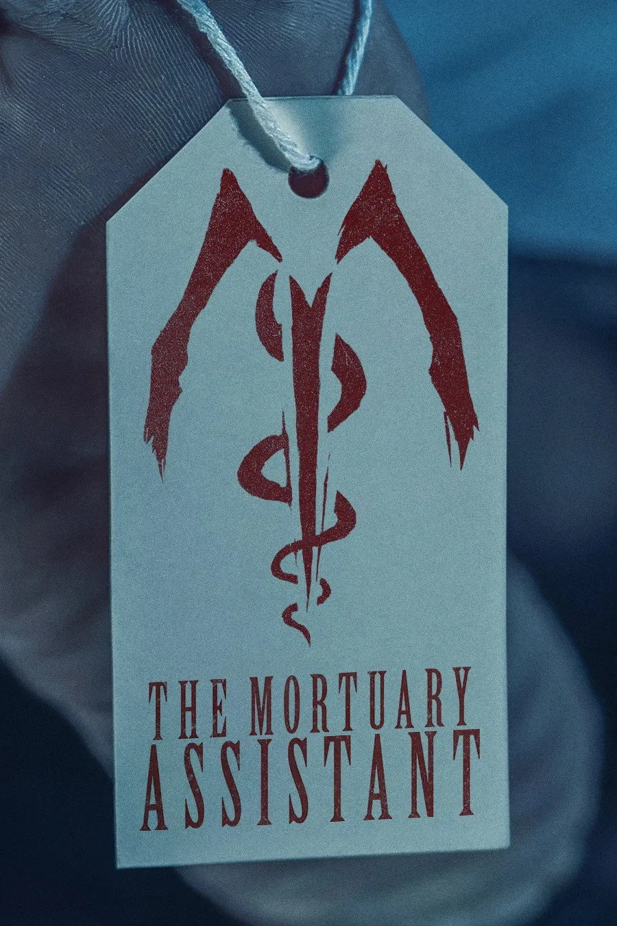 The Mortuary Assistant (2026)